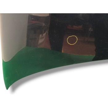 Recambio de capot para citroën c5 iii (rd_) 2.7 hdi referencia OEM IAM 7901P3  