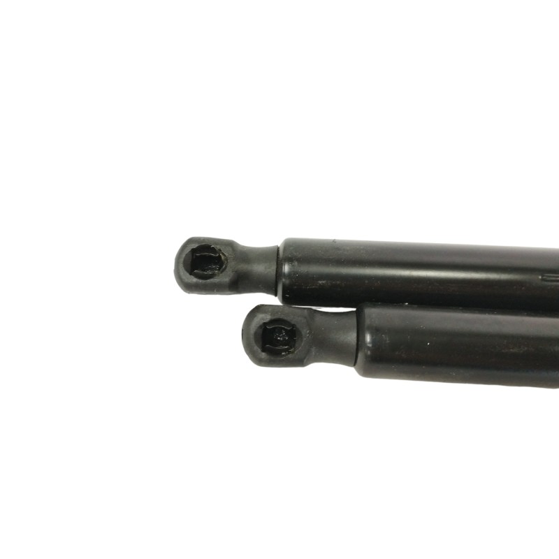 AMORTIGUADORES MALETERO / PORTON