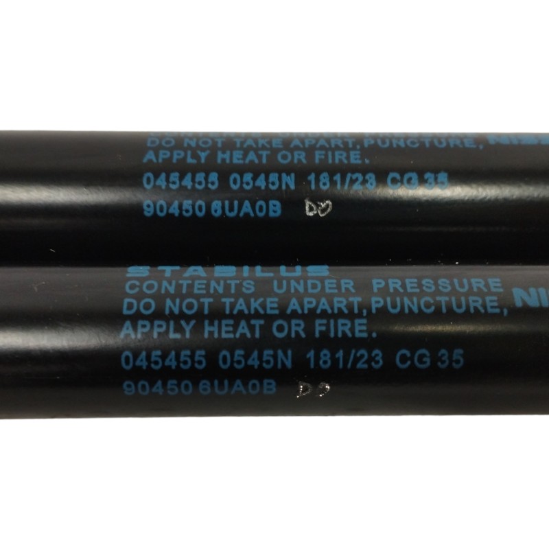 AMORTIGUADORES MALETERO / PORTON