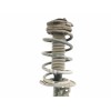 Recambio de amortiguador delantero izquierdo para nissan qashqai (j10) 2.0 dci turbodiesel cat referencia OEM IAM   