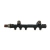 Recambio de rampa inyectora para citroën c4 picasso 1.6 blue-hdi fap referencia OEM IAM 9804776780 0445214318 