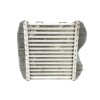 Recambio de intercooler para smart fortwo coupe 0.7 cc referencia OEM IAM 0003007V005  