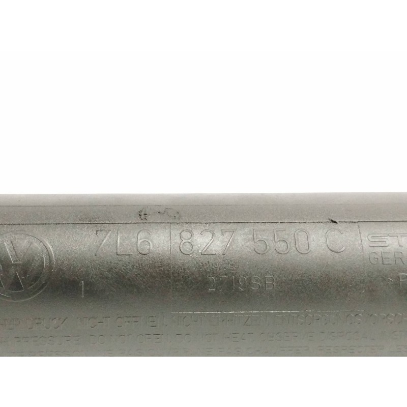 AMORTIGUADORES MALETERO / PORTON