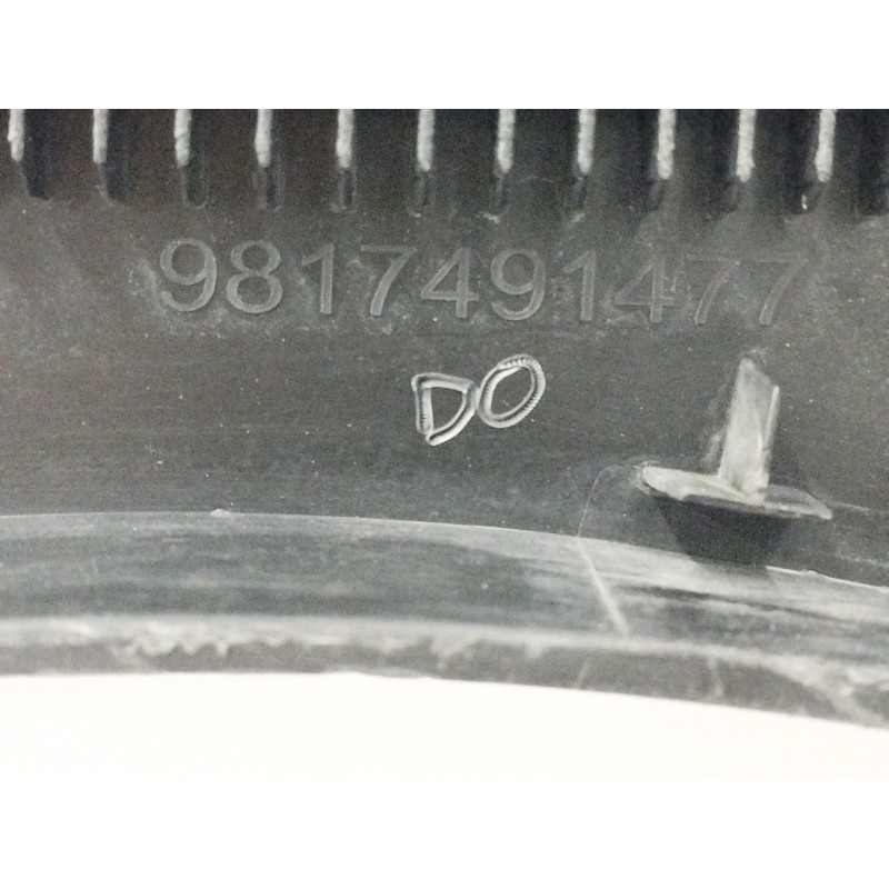 ALETIN TRASERO IZQUIERDO