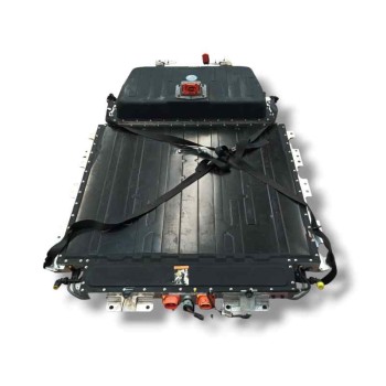 BATERIA 295109941R 