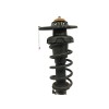 Recambio de amortiguador trasero derecho para mini mini (r56) one referencia OEM IAM 22245222  