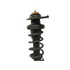 Recambio de amortiguador trasero izquierdo para mini mini (r56) one referencia OEM IAM 22245221  