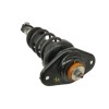 Recambio de amortiguador trasero izquierdo para mini mini (r56) one referencia OEM IAM 22245221  