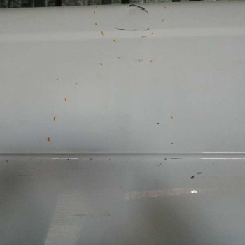 Recambio de puerta lateral corredera derecha para hyundai h350 kasten 2.5 crdi cat referencia OEM IAM 7520059010  