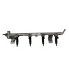Recambio de rampa inyectora para ford fiesta (cbk) 1.4 16v cat referencia OEM IAM 9D2809H487  