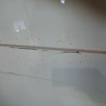 Recambio de puerta lateral corredera derecha para hyundai h350 kasten 2.5 crdi cat referencia OEM IAM 7520059010  