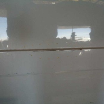 Recambio de puerta lateral corredera derecha para hyundai h350 kasten 2.5 crdi cat referencia OEM IAM 7520059010  