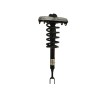 Recambio de amortiguador delantero derecho para audi a4 berlina (8e) 2.0 16v tfsi referencia OEM IAM BE0413031DA  