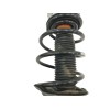 Recambio de amortiguador delantero derecho para bmw x3 (e83) 2.0 16v diesel cat referencia OEM IAM 31313411620  