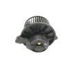 Recambio de motor calefaccion para kia sportage 2.7 cat referencia OEM IAM B300530950  