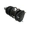 Recambio de amortiguador delantero derecho para lexus ct 1.8 16v cat (híbrido) referencia OEM IAM 4581076110  