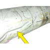 Recambio de catalizador para citroën c4 picasso 2.0 hdi fap referencia OEM IAM F010 OBSERVAR FOTO 