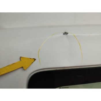 Recambio de porton trasero izquierdo para renault trafic combi (ab 4.01) 1.9 diesel referencia OEM IAM  OBSERVAR FOTOS 