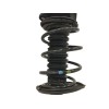 Recambio de amortiguador delantero izquierdo para toyota auris 1.2 16v turbo cat referencia OEM IAM 4852002E10  