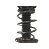 Recambio de amortiguador delantero derecho para toyota auris 1.2 16v turbo cat referencia OEM IAM 4851002E10  