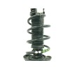 Recambio de amortiguador delantero izquierdo para volkswagen polo (6r1) 1.6 tdi referencia OEM IAM 6R0413031AJ  