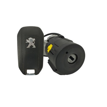 Recambio de antirrobo para peugeot 308 1.6 blue-hdi fap referencia OEM IAM 9663123380  