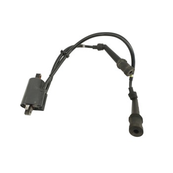 Recambio de bobina alta para yamaha fzs 600 / 1000 fazer fzs 600 fazer   (rj02) referencia OEM IAM 5DM00J0313 1297003760 