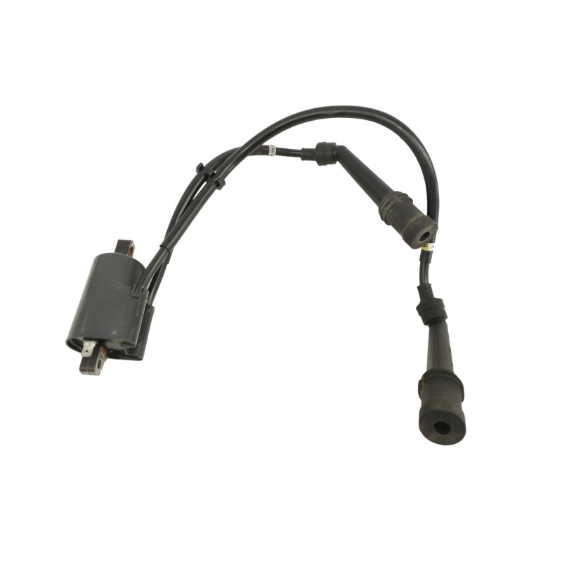 Recambio de bobina alta para yamaha fzs 600 / 1000 fazer fzs 600 fazer   (rj02) referencia OEM IAM 5DM00J0313 1297003760 