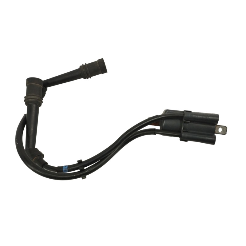 Recambio de bobina alta para yamaha fzs 600 / 1000 fazer fzs 600 fazer   (rj02) referencia OEM IAM   