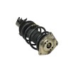 Recambio de amortiguador delantero izquierdo para mercedes-benz clase a (w169) 1.5 cat referencia OEM IAM   