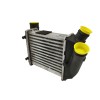 Recambio de intercooler para audi a4 cabrio (8h) 2.5 v6 24v tdi referencia OEM IAM 8E0145806C  