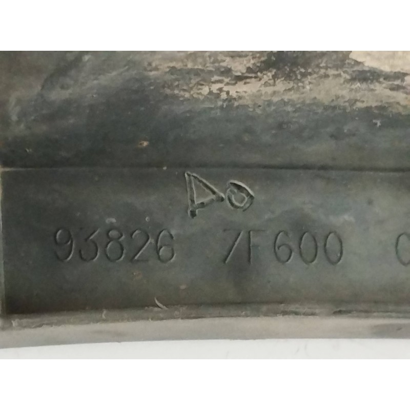 ALETIN TRASERO DERECHO