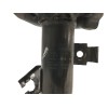 Recambio de amortiguador delantero izquierdo para nissan micra v (k14) 1.0 12v cat referencia OEM IAM 543035FA0D  