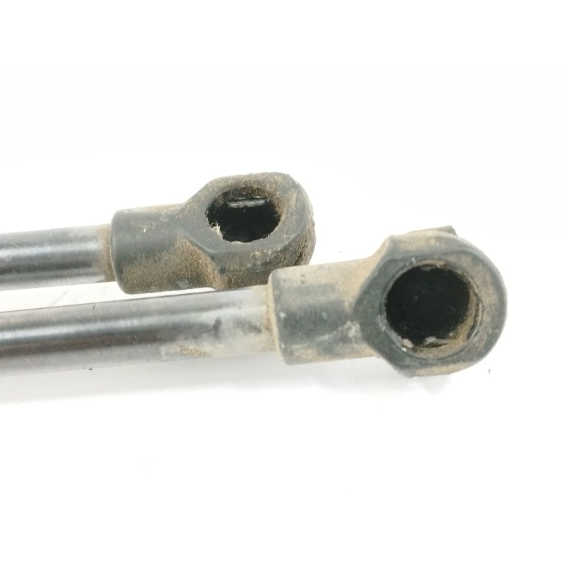 AMORTIGUADORES MALETERO / PORTON 689500F032