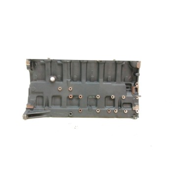 Recambio de bloque para bmw serie 5 berlina (e39) 525d exclusive referencia OEM IAM 256D1  