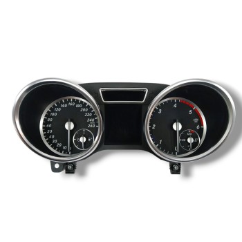 CUADRO INSTRUMENTOS A1669003606 0263683120 