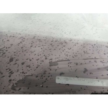 kia carnival / grand carnival iii (vq) del año 2009