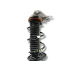 Recambio de amortiguador trasero izquierdo para fiat 500 x (334) 1.6 16v cat referencia OEM IAM 00520360280  
