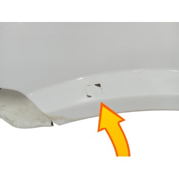 Recambio de aleta delantera izquierda para iveco daily combi 1989  35 - 10 classic, combi referencia OEM IAM 93923131 OBSERVAR F
