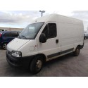 FIAT DUCATO CAJA CERRADA 11 (DESDE 03.02)