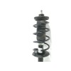 Recambio de amortiguador delantero izquierdo para peugeot 107 1.0 cat (384f) referencia OEM IAM 485200H010  