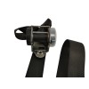 Recambio de cinturon seguridad trasero izquierdo para chevrolet aveo 1.4 cat referencia OEM IAM 95903005 95903004 