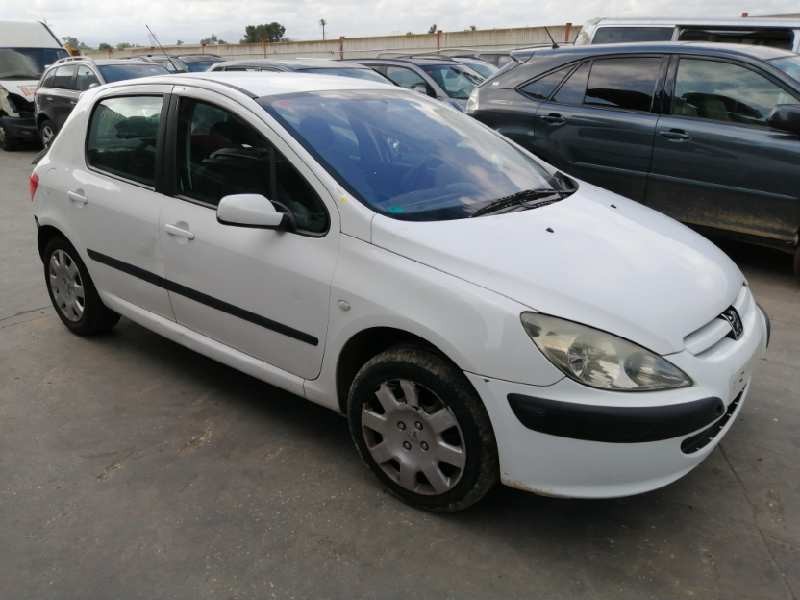 PEUGEOT 307 (S1)