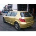 PEUGEOT 307 (S1)