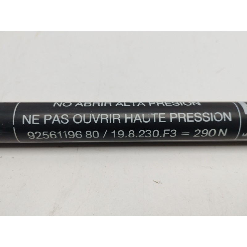 AMORTIGUADORES MALETERO / PORTON