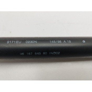 Recambio de amortiguadores maletero / porton para peugeot 406 (8b) 2.1 td 12v referencia OEM IAM   