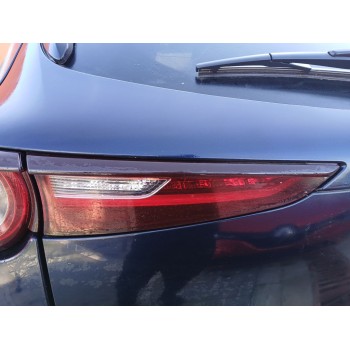 PILOTO TRASERO IZQUIERDO INTERIOR 