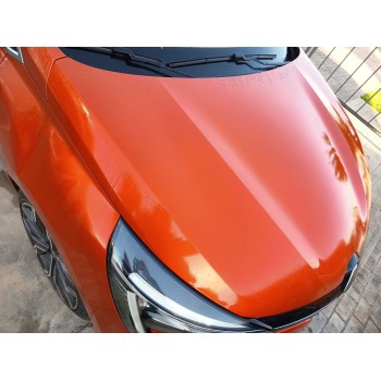 Recambio de capot para renault clio v (b7_) 1.3 tce 130 (b7mf) referencia OEM IAM   