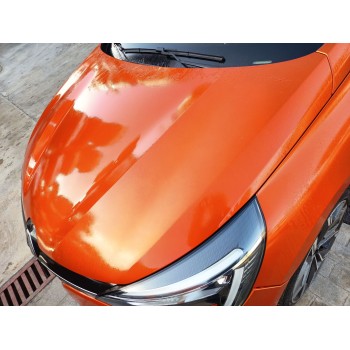 Recambio de capot para renault clio v (b7_) 1.3 tce 130 (b7mf) referencia OEM IAM   