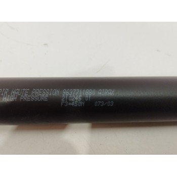 Recambio de amortiguadores maletero / porton para peugeot 307 (s1) 2.0 hdi cat referencia OEM IAM   